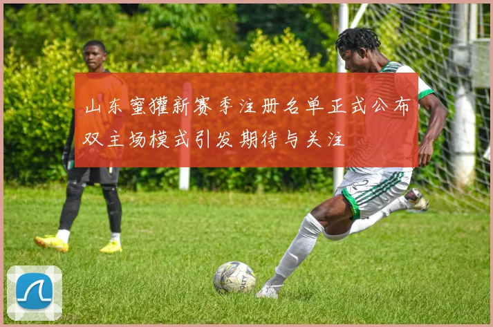 山东蜜獾新赛季注册名单正式公布双主场模式引发期待与关注