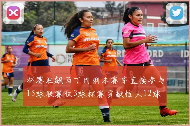 杯赛狂飙马丁内利本赛季直接参与15球联赛仅3球杯赛贡献惊人12球